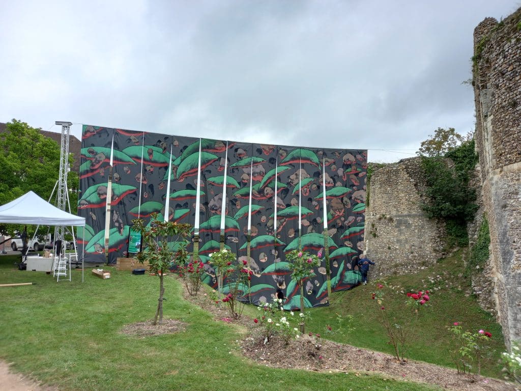 Julien Colombier au Donjon de Conches en Ouches